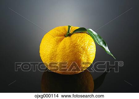 Picture - Yuzu. Fotosearch