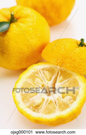 Yuzu View Large Photo Image Stock Image - Yuzu. Fotosearch