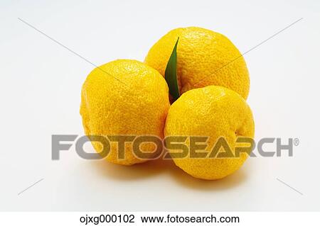 Stock Image - Yuzu. Fotosearch