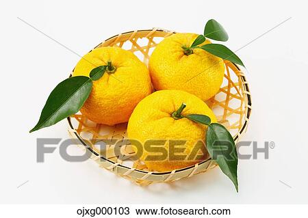 Yuzu View Large Photo Image Stock Image - Yuzu. Fotosearch
