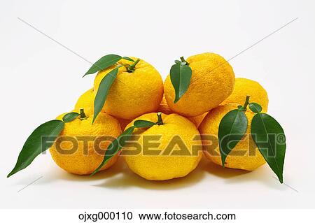 Stock Image - Yuzu. Fotosearch