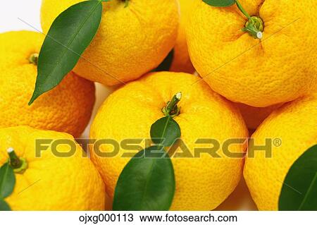 Stock Image - Yuzu. Fotosearch