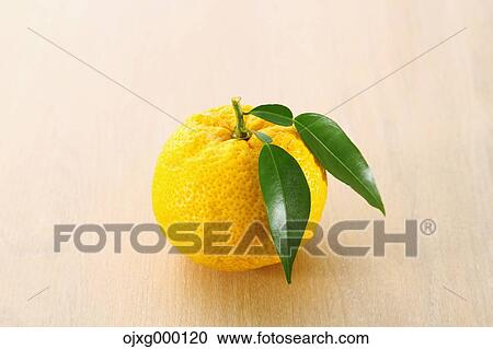 Stock Image - Yuzu. Fotosearch
