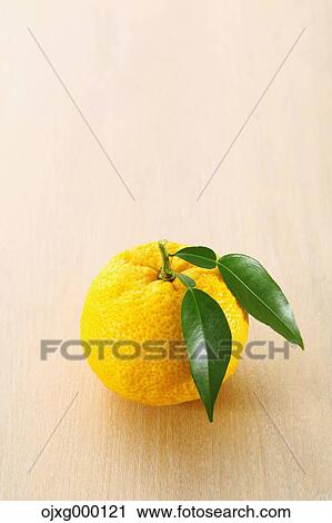 Yuzu View Large Photo Image Stock Image - Yuzu. Fotosearch