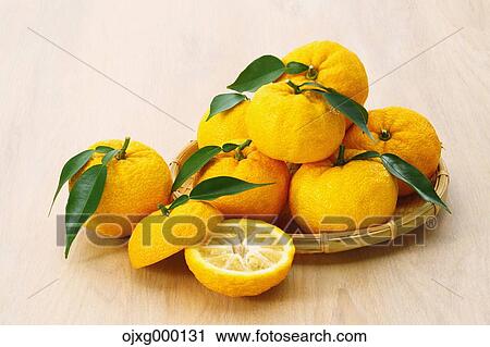 Stock Image - Yuzu. Fotosearch