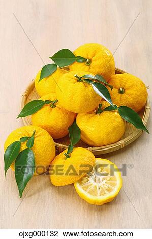 Stock Image - Yuzu. Fotosearch