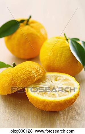 Stock Photo - Yuzu. Fotosearch