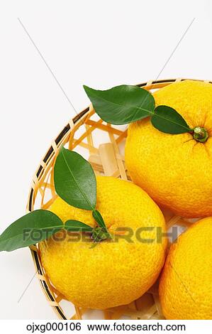 Yuzu View Large Photo Image Stock Photograph - Yuzu. Fotosearch