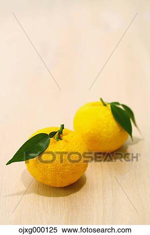 Stock Photography - Yuzu. Fotosearch