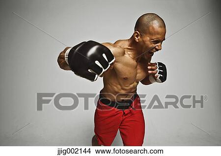 Bald male athlete in a fighting pose View Large Photo Image Picture - Bald male athlete in a fighting pose. Fotosearch