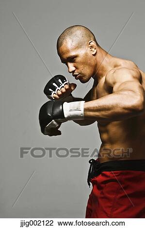 Bald male athlete in a fighting pose View Large Photo Image Stock Image - Bald male athlete in a fighting pose. Fotosearch