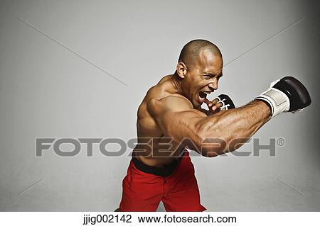 Bald male athlete in a fighting pose View Large Photo Image Stock Image - Bald male athlete in a fighting pose. Fotosearch