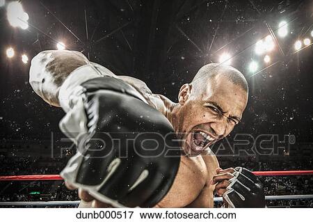 Bald male athlete in a fighting pose View Large Photo Image Stock Photo - Bald male athlete in a fighting pose. Fotosearch