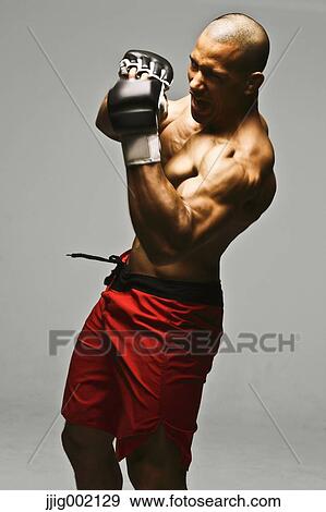 Bald male athlete in a fighting pose View Large Photo Image Stock Photo - Bald male athlete in a fighting pose. Fotosearch