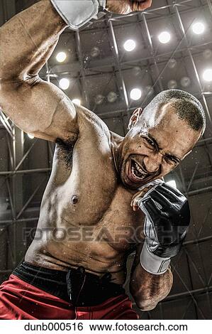 Bald male athlete in a fighting pose View Large Photo Image Stock Photograph - Bald male athlete in a fighting pose. Fotosearch