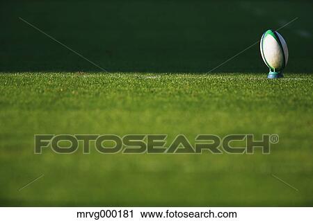 Rugby ball on grass View Large Photo Image Stock Image - Rugby ball on grass. Fotosearch