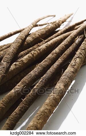 Picture - Burdock. Fotosearch