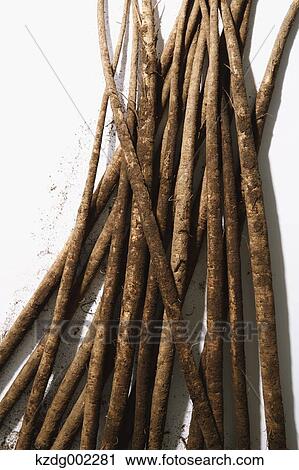 Stock Image - Burdock. Fotosearch