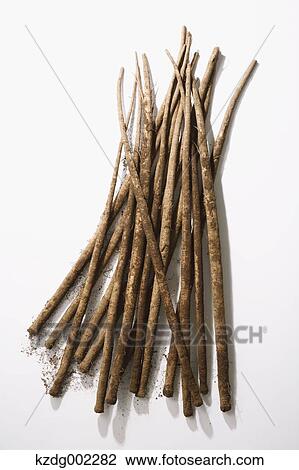 Stock Image - Burdock. Fotosearch