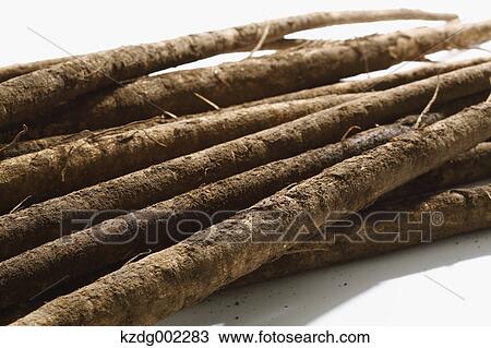 Stock Image - Burdock. Fotosearch