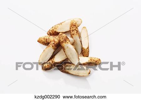 Stock Image - Burdock. Fotosearch