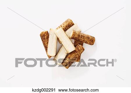 Stock Image - Burdock. Fotosearch