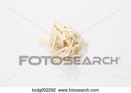 Stock Image - Burdock. Fotosearch