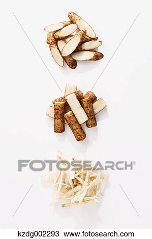 Stock Image - Burdock. Fotosearch