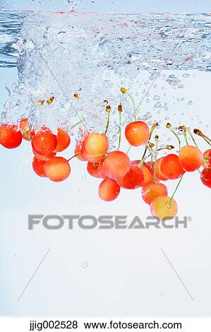 Cherries in water View Large Photo Image Stock Photo - Cherries in water. Fotosearch