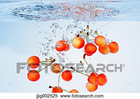 Cherries in water View Large Photo Image Stock Photography - Cherries in water. Fotosearch