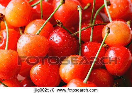Cherries View Large Photo Image Stock Image - Cherries. Fotosearch