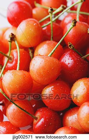 Cherries View Large Photo Image Stock Image - Cherries. Fotosearch