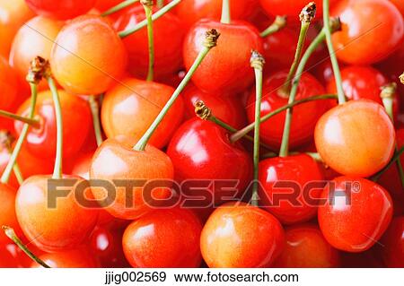 Cherries View Large Photo Image Stock Photo - Cherries. Fotosearch