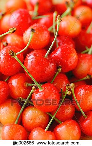 Cherries View Large Photo Image Stock Photograph - Cherries. Fotosearch