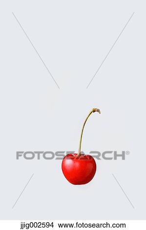 Cherry View Large Photo Image Picture - Cherry. Fotosearch