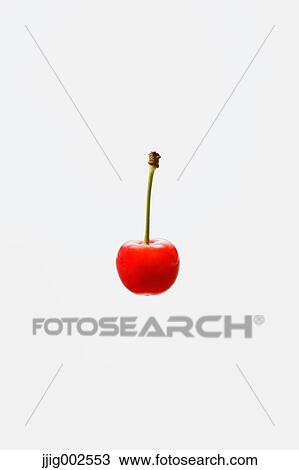 Cherry View Large Photo Image Stock Image - Cherry. Fotosearch
