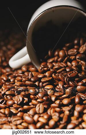 Coffee beans View Large Photo Image Stock Image - Coffee beans. Fotosearch