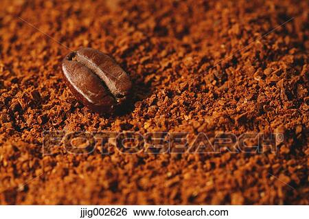 Stock Photograph - Coffee beans. Fotosearch