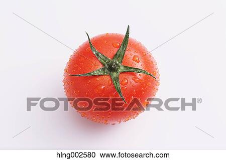Fruit tomato View Large Photo Image Stock Image - Fruit tomato. Fotosearch