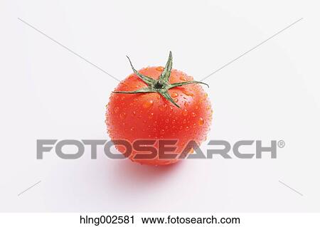 Fruit tomato View Large Photo Image Stock Image - Fruit tomato. Fotosearch