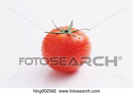 Fruit tomato View Large Photo Image Stock Image - Fruit tomato. Fotosearch