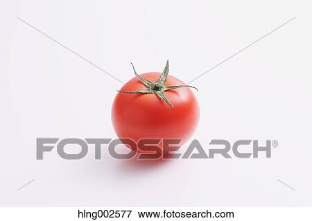 Fruit tomato View Large Photo Image Stock Photo - Fruit tomato. Fotosearch