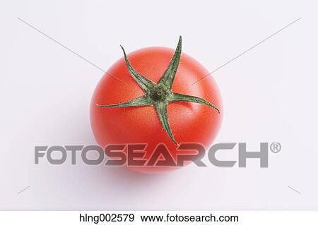 Fruit tomato View Large Photo Image Stock Photo - Fruit tomato. Fotosearch