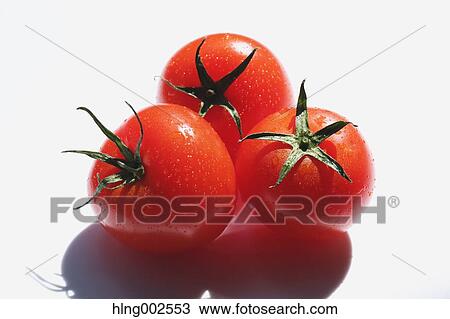 Fruit tomatoes View Large Photo Image Stock Image - Fruit tomatoes. Fotosearch
