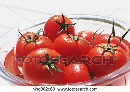 Fruit tomatoes View Large Photo Image Stock Image - Fruit tomatoes. Fotosearch