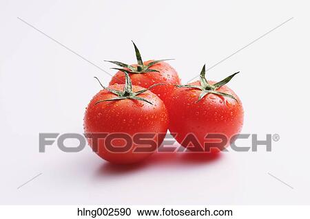 Fruit tomatoes View Large Photo Image Stock Image - Fruit tomatoes. Fotosearch
