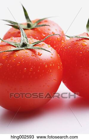 Fruit tomatoes View Large Photo Image Stock Image - Fruit tomatoes. Fotosearch