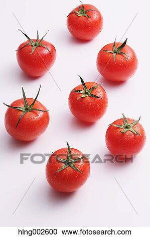 Fruit tomatoes View Large Photo Image Stock Image - Fruit tomatoes. Fotosearch