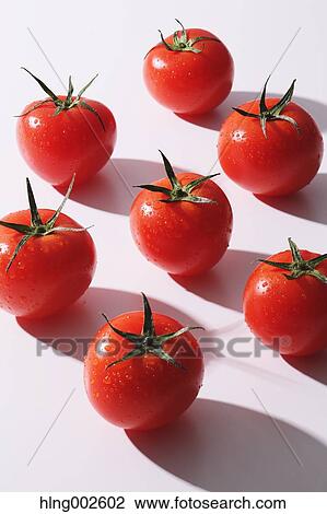 Fruit tomatoes View Large Photo Image Stock Image - Fruit tomatoes. Fotosearch