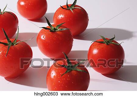 Fruit tomatoes View Large Photo Image Stock Image - Fruit tomatoes. Fotosearch